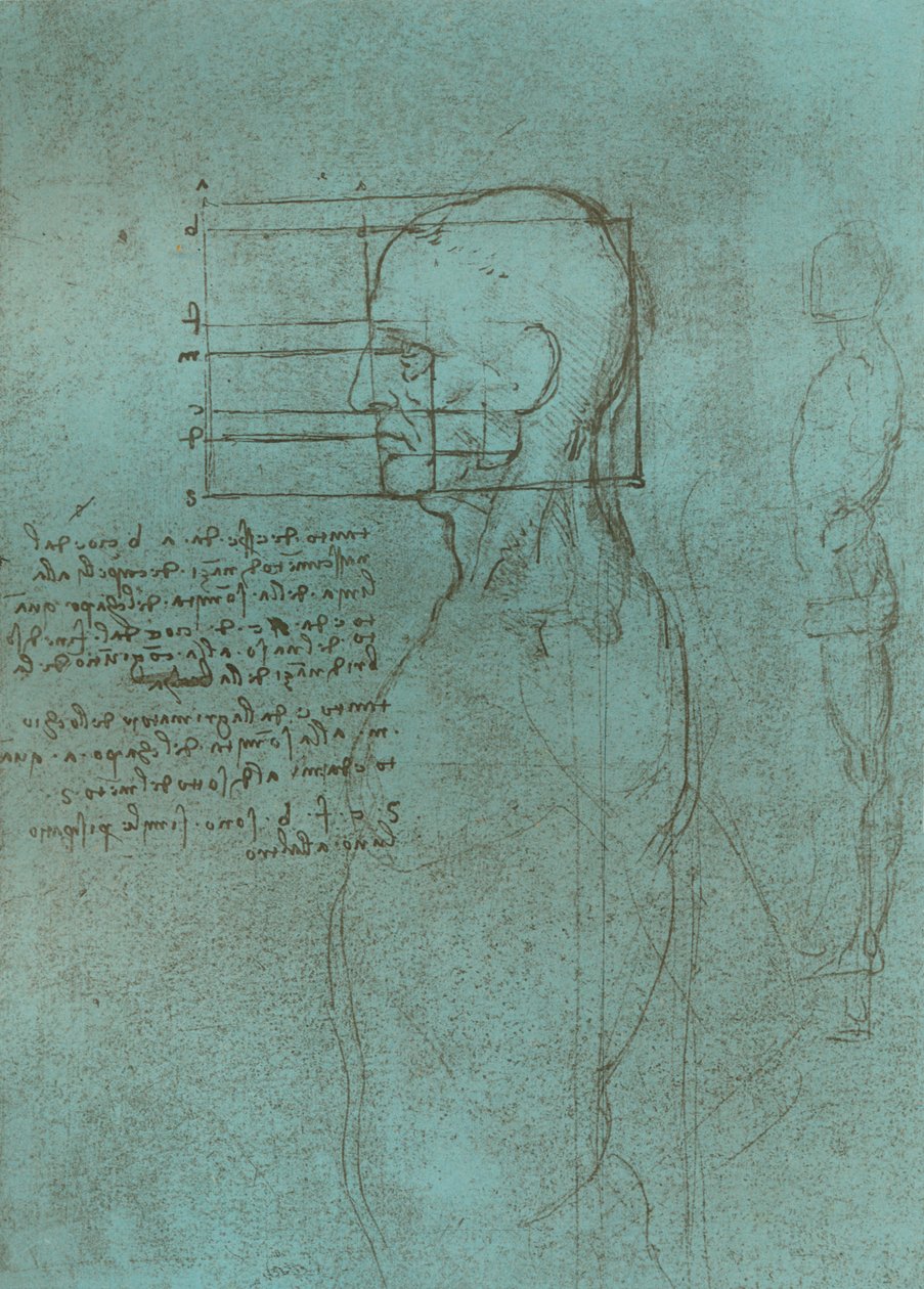 Rysunek ilustrujący teorię proporcji postaci ludzkiej, c1472-c1519 1883. autorstwa Leonardo da Vinci