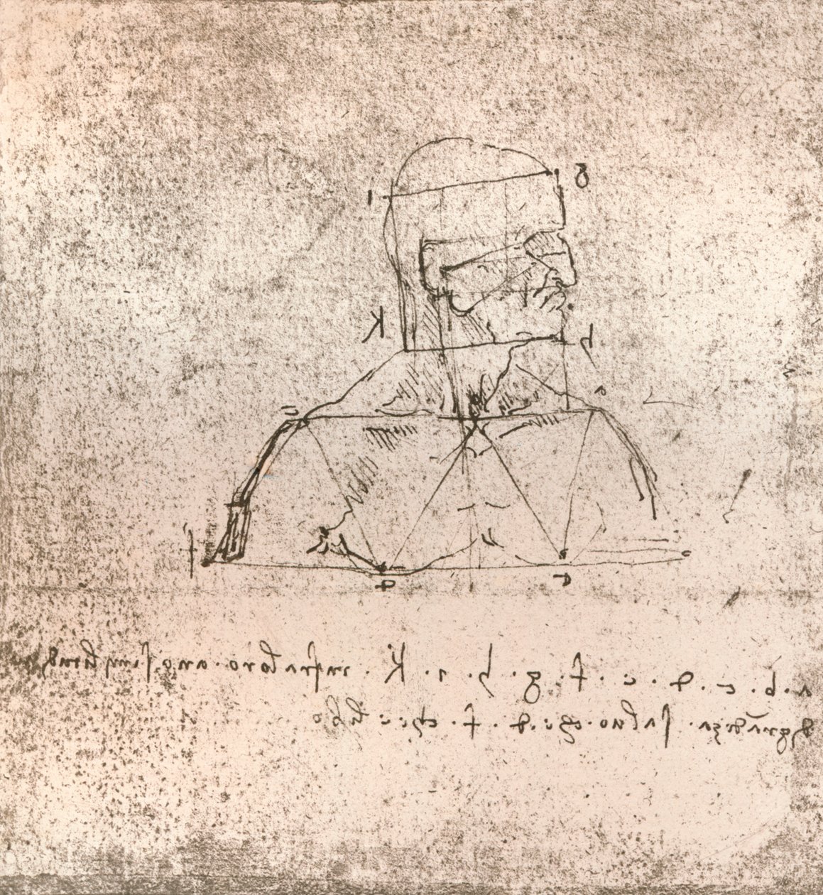 Rysunek ilustrujący teorię proporcji postaci ludzkiej, c1472-c1519 1883 autorstwa Leonardo da Vinci