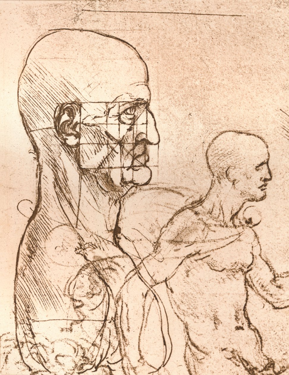 Rysunek ilustrujący teorię proporcji postaci ludzkiej, c1472-c1519 1883 autorstwa Leonardo da Vinci