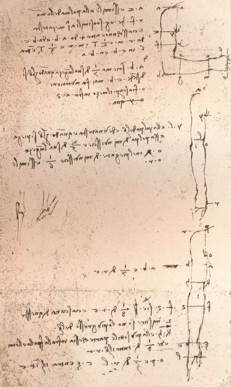 Rysunek ilustrujący teorię proporcji postaci ludzkiej, c1472-c1519 1883 autorstwa Leonardo da Vinci