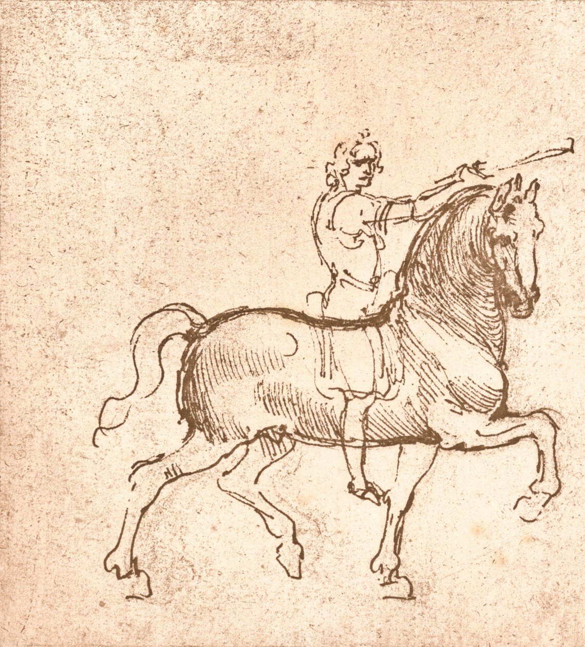 Rysunek chodzącego konia, c1472-c1519 1883 autorstwa Leonardo da Vinci