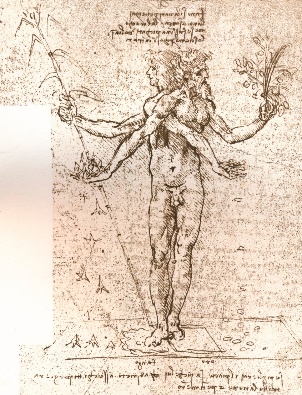 Rysunek kompozycji alegorycznej, c1472-c1519 1883 autorstwa Leonardo da Vinci