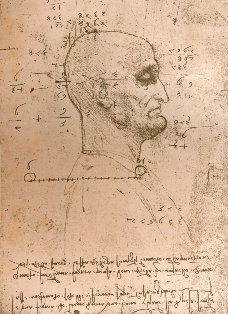Rysunek głowy przestępcy, c1472-c1519 1883 autorstwa Leonardo da Vinci