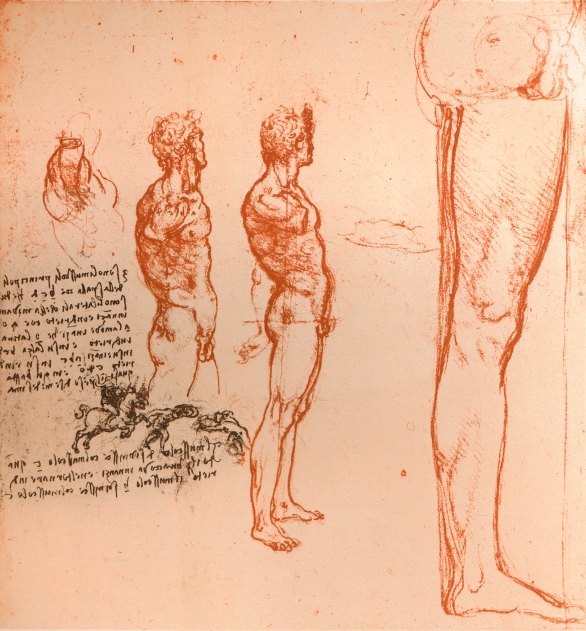 Rysunki przedstawiające ruchy postaci ludzkiej i walczących wojowników, c1472-c1519 1883 autorstwa Leonardo da Vinci