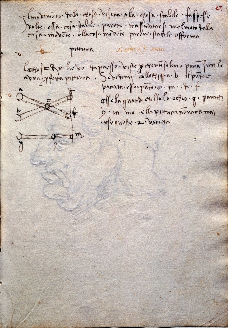 polish autorstwa Leonardo da Vinci