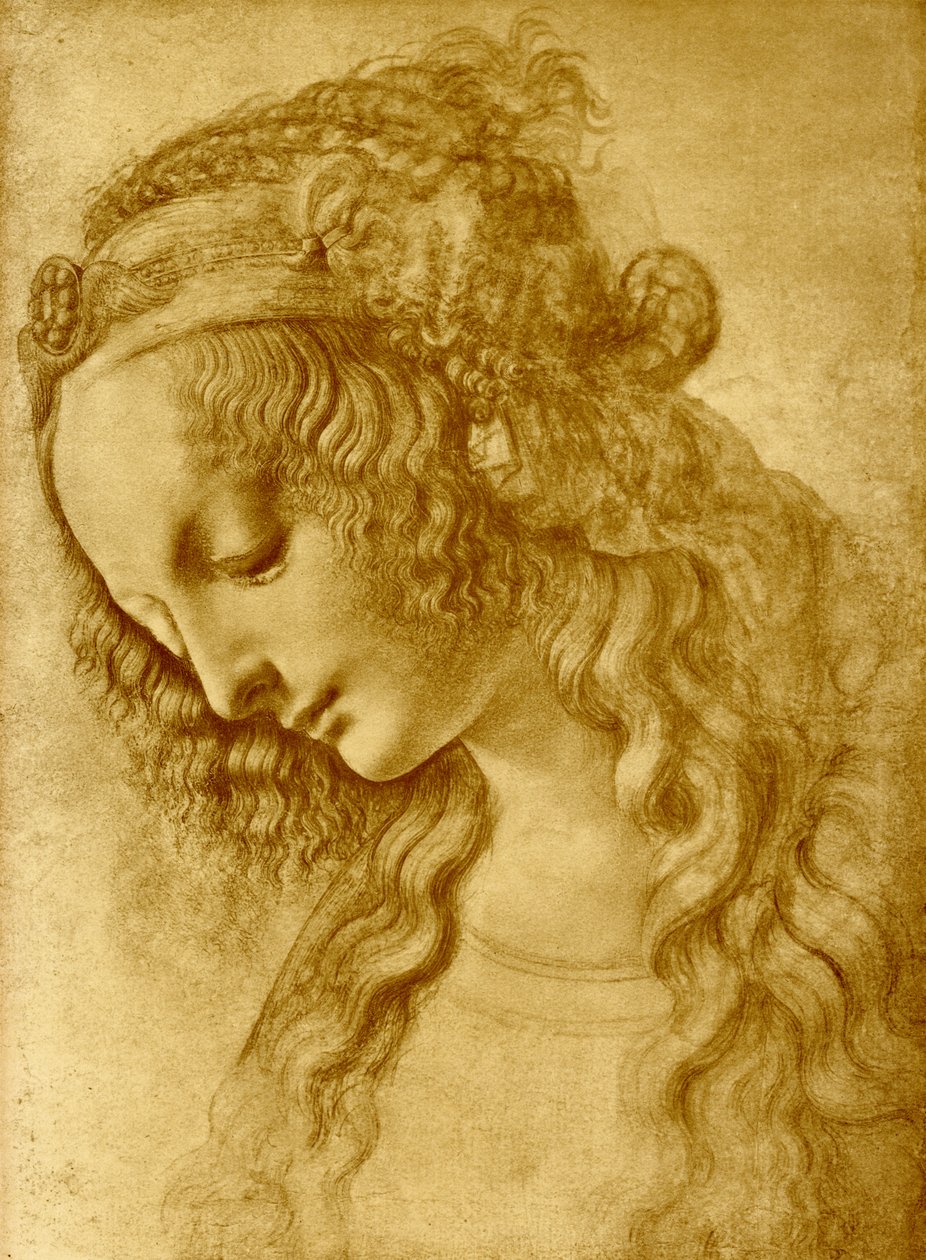 Głowa kobiety autorstwa Leonardo da Vinci