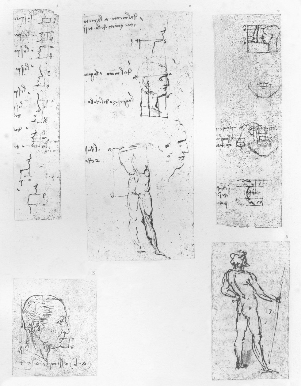 Pięć rysunków ilustrujących teorię proporcji postaci ludzkiej, c1472-c1519 1883 autorstwa Leonardo da Vinci