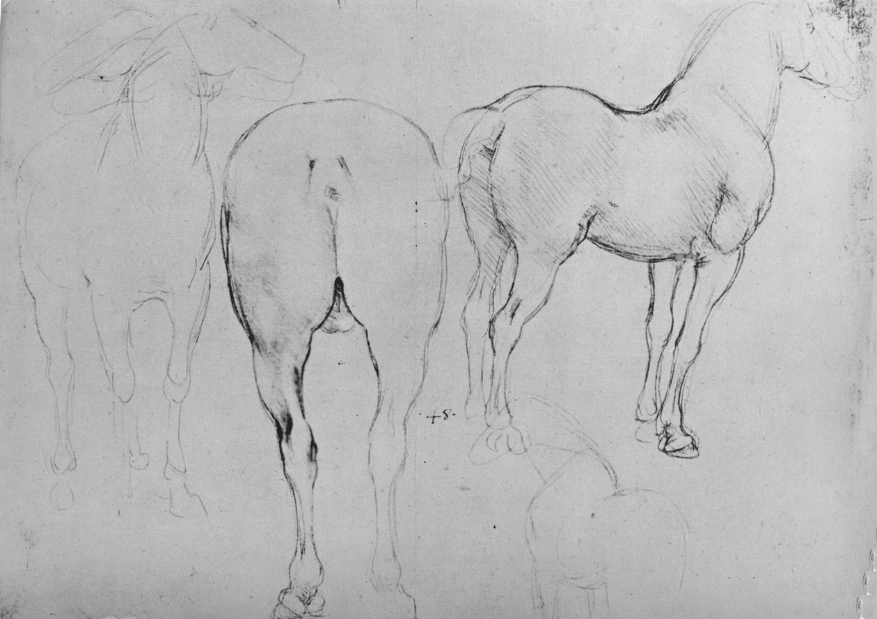 Cztery szkice koni, ok. 1480 1945 autorstwa Leonardo da Vinci