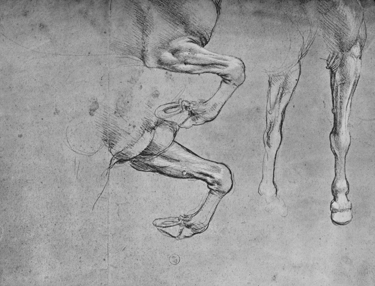 Cztery badania nóg koni, ok. 1480 1945 r autorstwa Leonardo da Vinci
