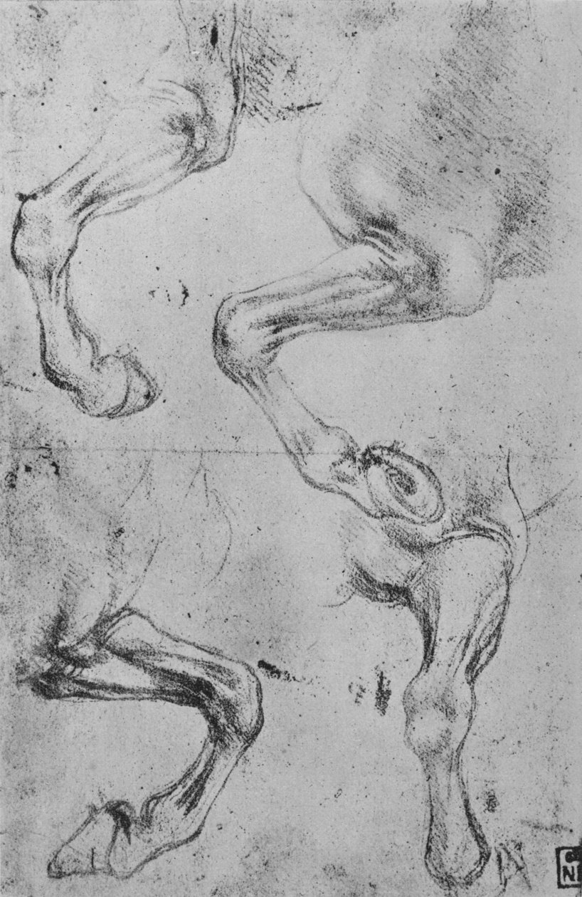 Cztery badania nóg koni, ok. 1480 1945 r autorstwa Leonardo da Vinci