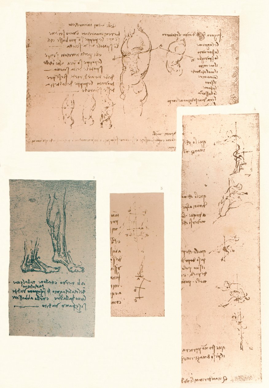 Cztery rysunki ilustrujące teorię ruchów postaci ludzkiej, c1472-c1519 1883 autorstwa Leonardo da Vinci