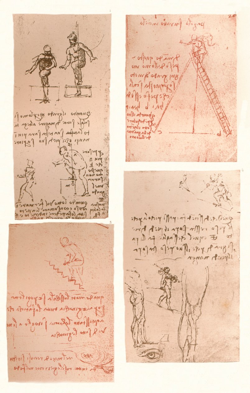 Cztery rysunki ilustrujące teorię ruchów postaci ludzkiej, c1472-c1519 1883 autorstwa Leonardo da Vinci