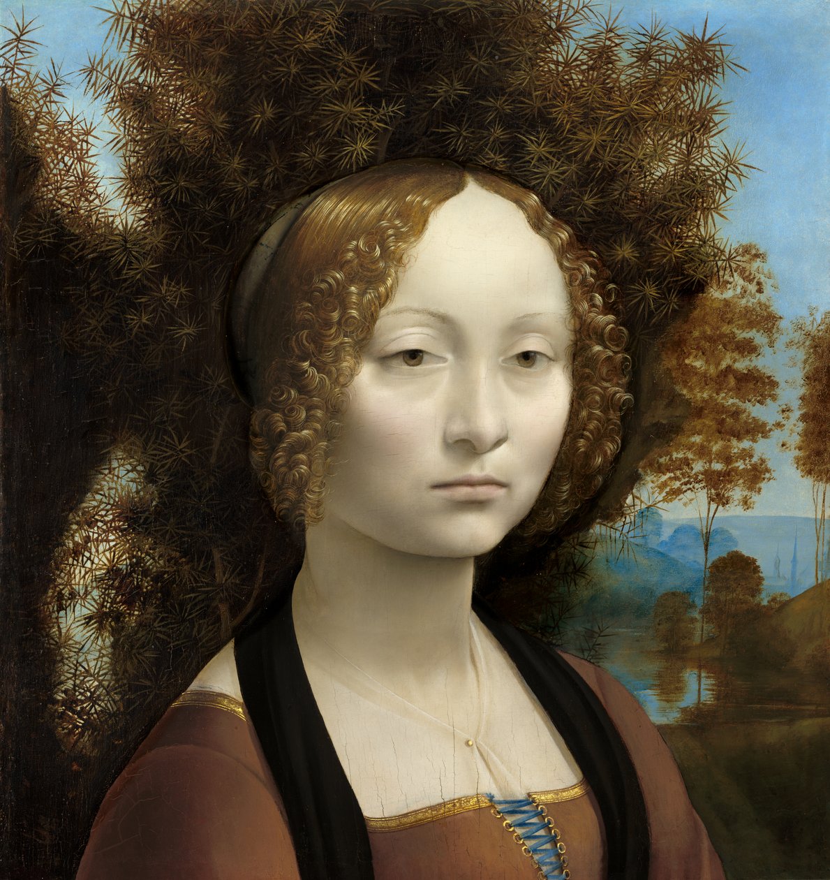 Ginevra de Hate autorstwa Leonardo da Vinci