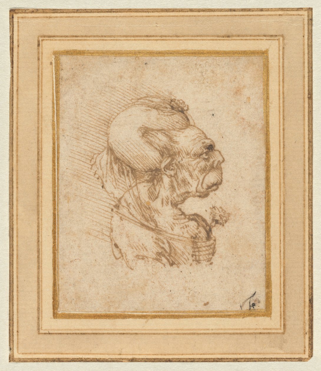 Groteskowa głowa starej kobiety autorstwa Leonardo da Vinci