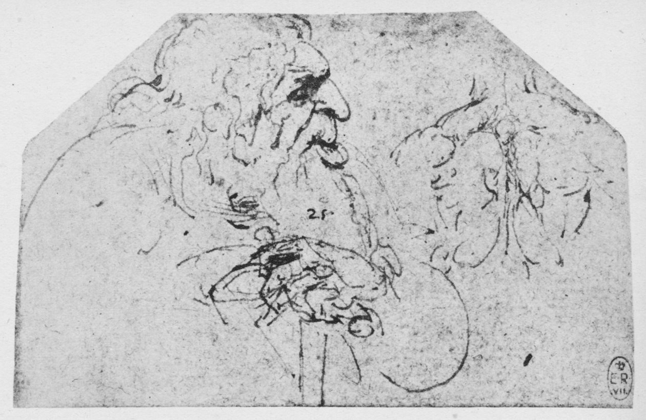 Połowa długości starca opartego na patyku, c1480 1945 autorstwa Leonardo da Vinci