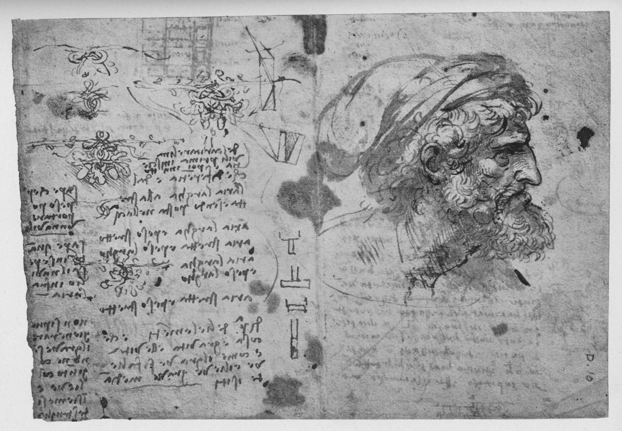Głowa i ramiona brodatego mężczyzny, c1480 1945 autorstwa Leonardo da Vinci