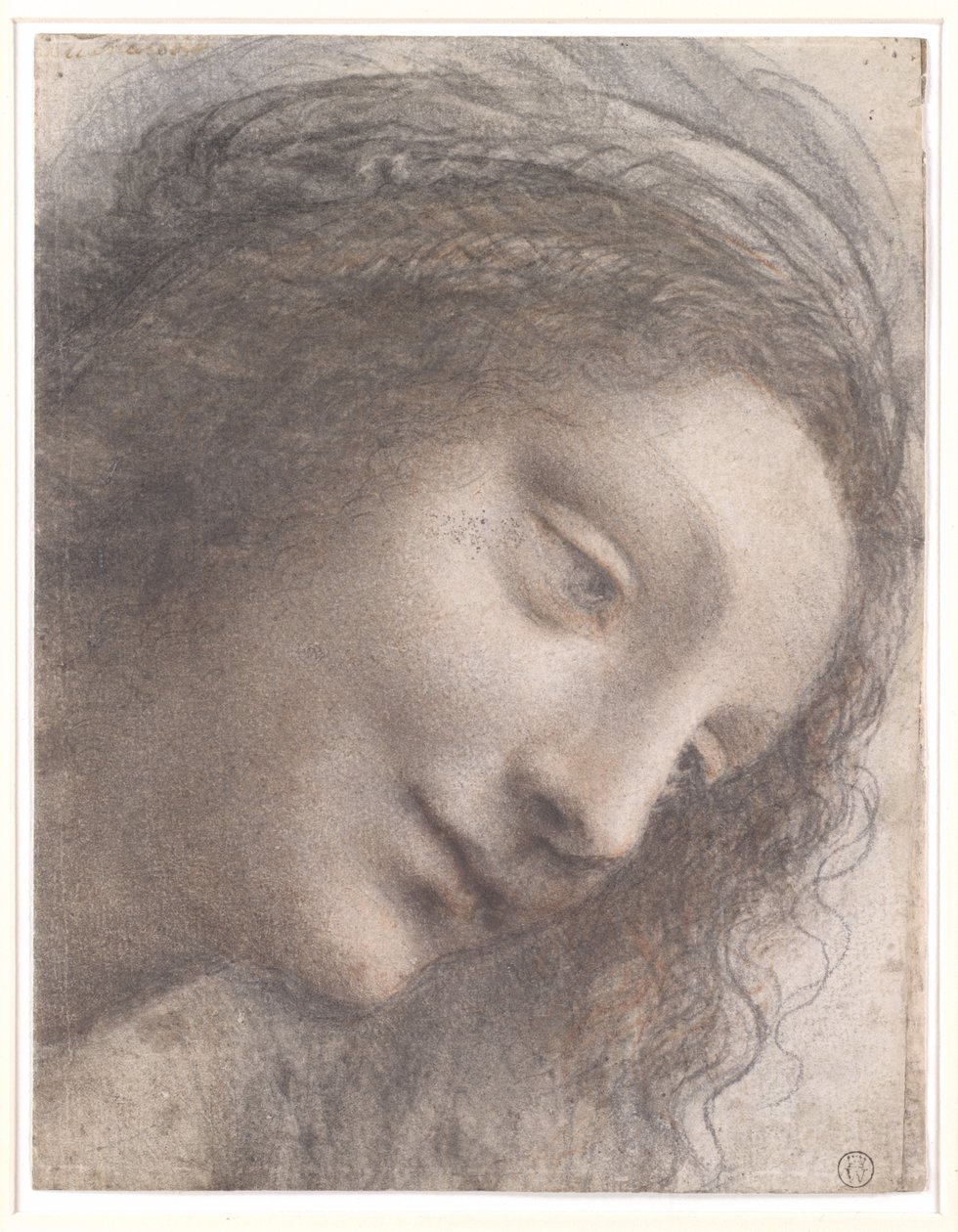 Głowa Dziewicy, 1508-1512 (czarna kreda, węgiel i czerwona kreda, ze śladami białej kredy na kartonie) autorstwa Leonardo da Vinci
