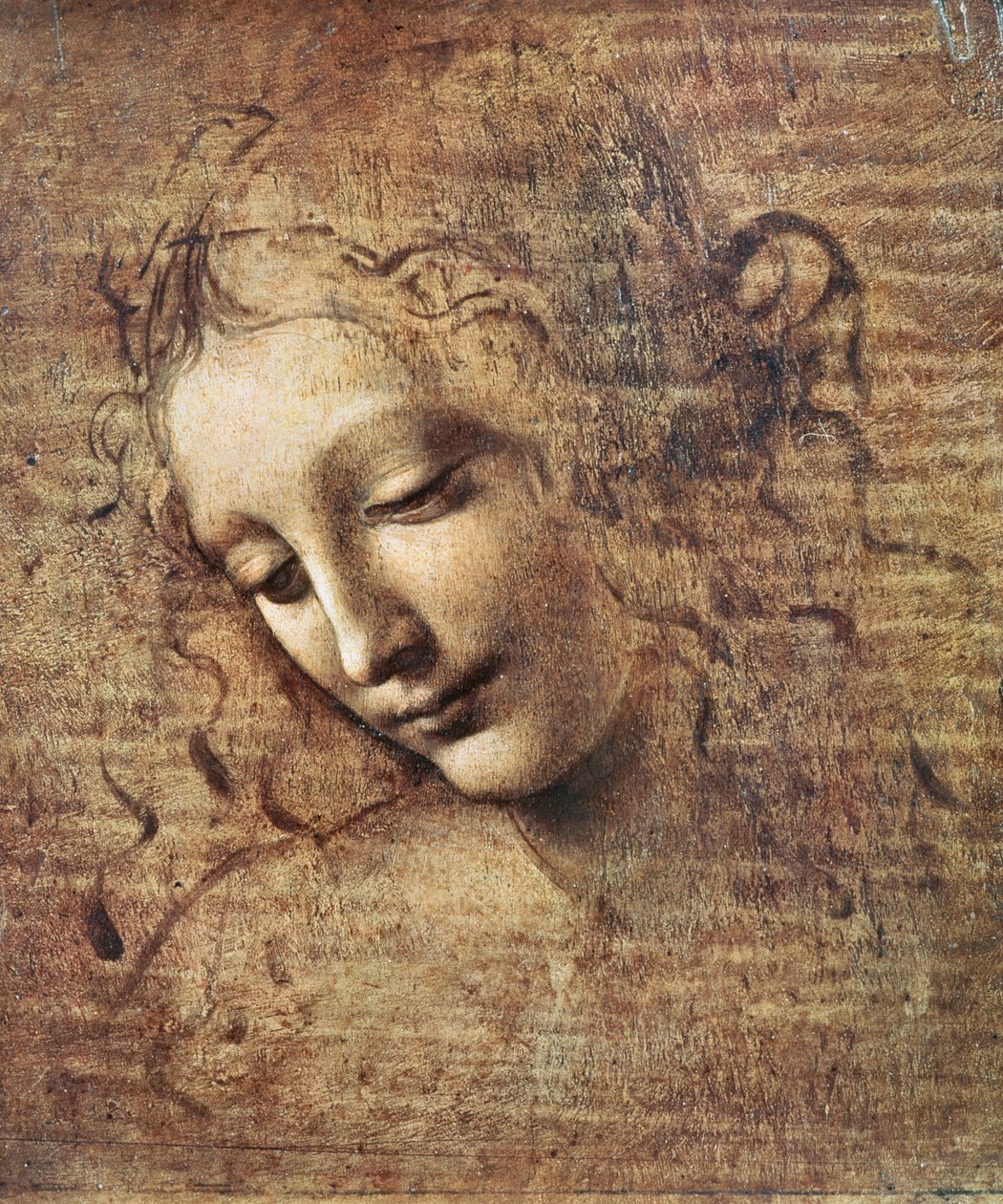 Głowa Młodej Kobiety z Zmierzwionymi Włosami lub Leda (gwasz na drewnie) autorstwa Leonardo da Vinci