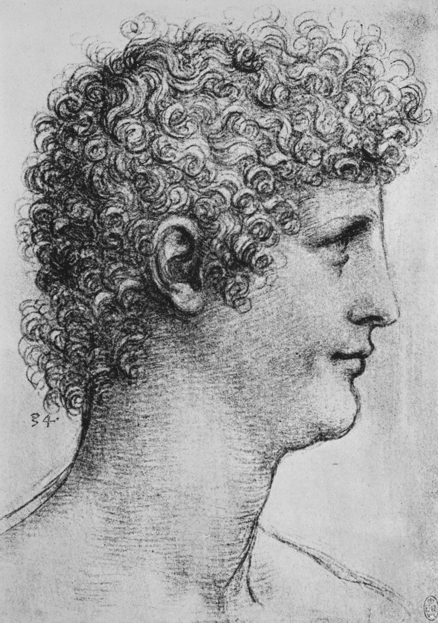 Głowa młodzieńca z profilu na prawo, ok. 1480 1945 r. autorstwa Leonardo da Vinci