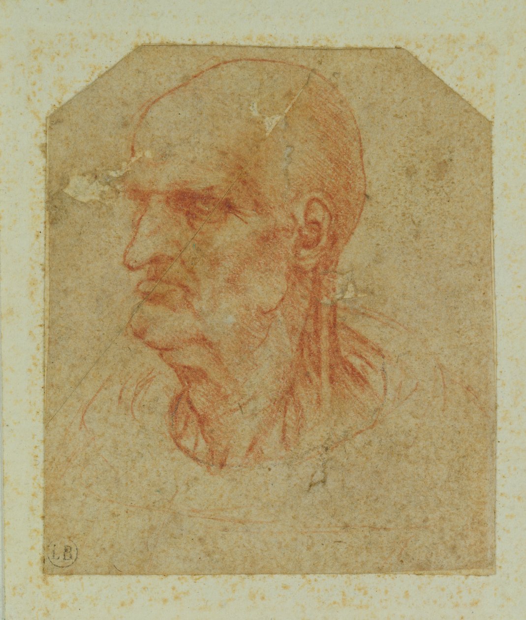 Głowa brodatego starca, lewy profil (czerwona kreda na papierze) autorstwa Leonardo da Vinci