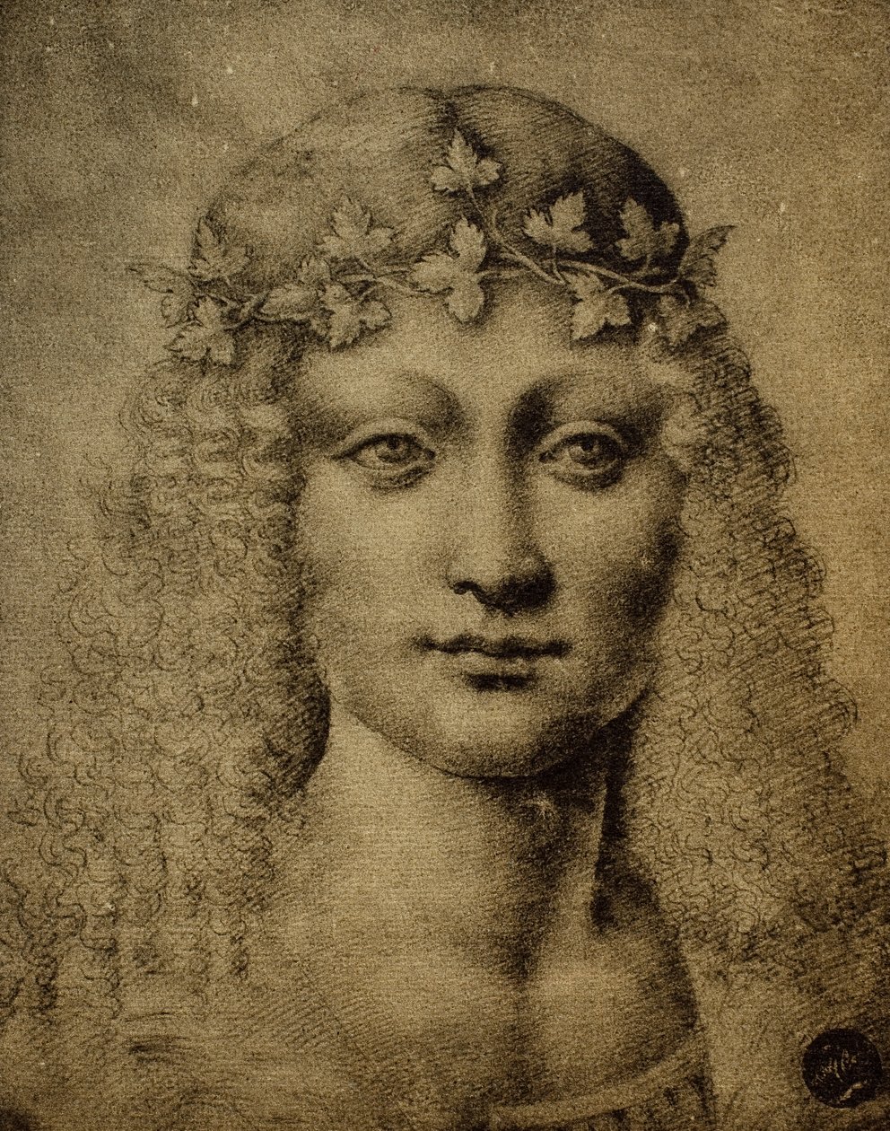 Głowa dziewczynki lub młodego Bachusa; rysunek Leonarda da Vinci. Gallerie dell