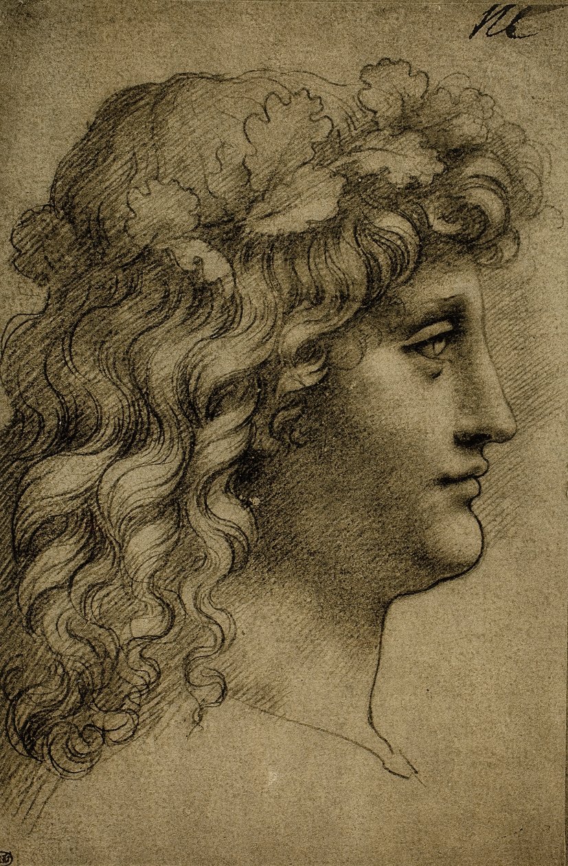 Głowa młodego człowieka; rysunek Leonarda da Vinci. Luwr, Paryż autorstwa Leonardo da Vinci