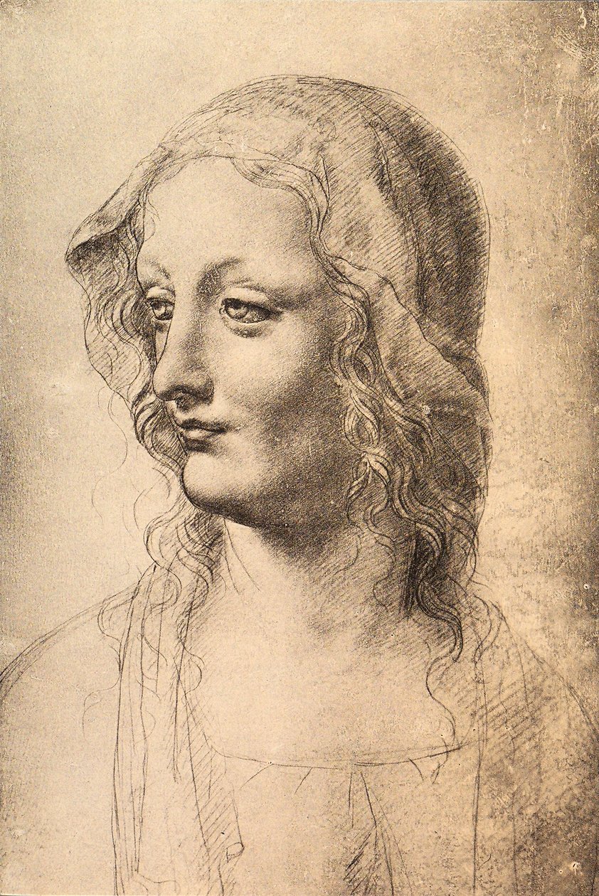 Głowa młodej kobiety, rysunek Leonarda da Vinci, Gabinet Rysunków i Grafiki, Uffizi, Florencja autorstwa Leonardo da Vinci