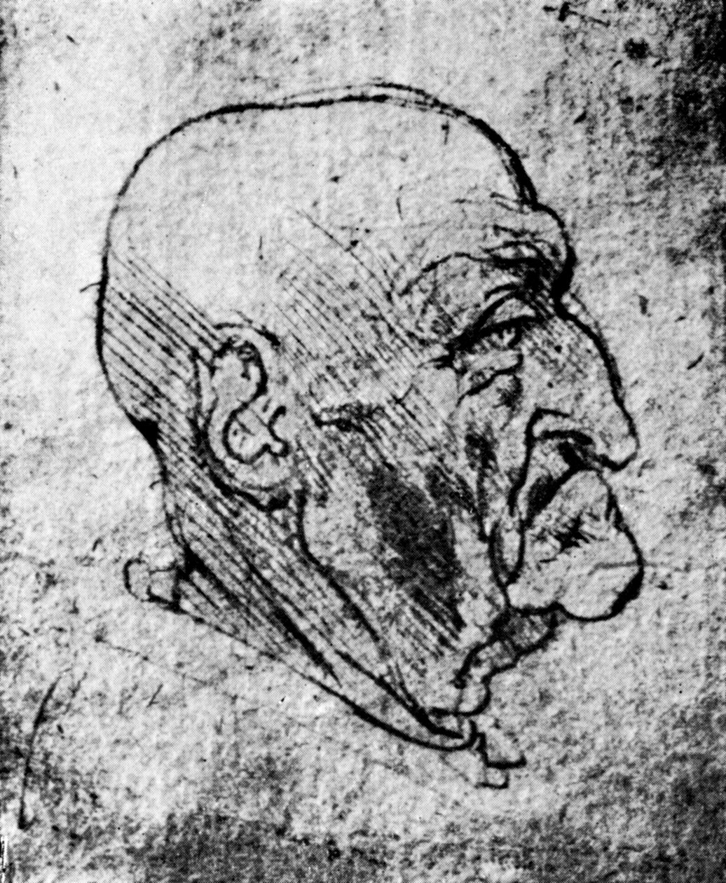 Głowa starego człowieka, 1913 autorstwa Leonardo da Vinci