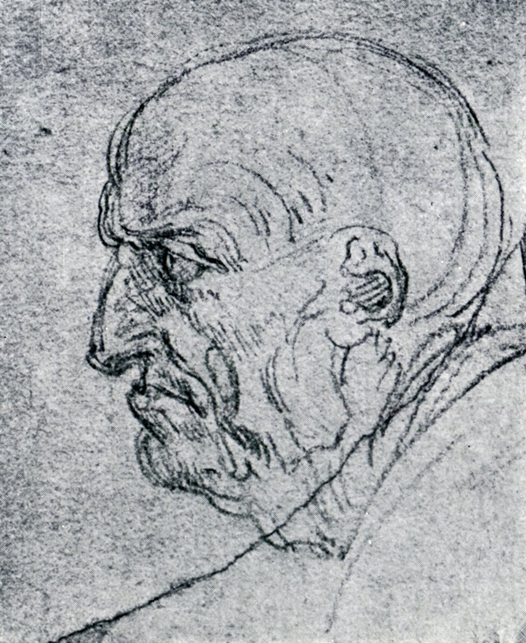 Głowa starego człowieka, 1913 autorstwa Leonardo da Vinci