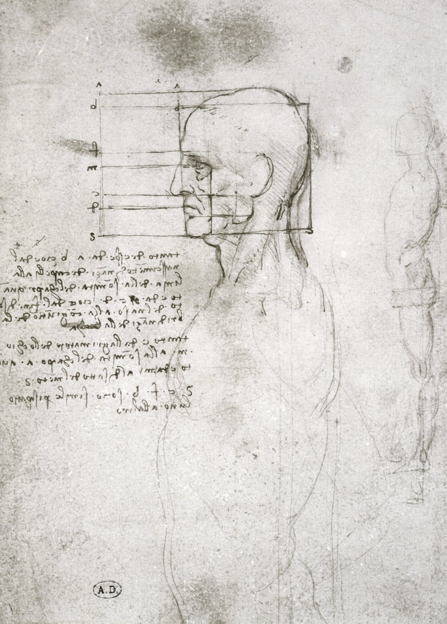 Głowa starego człowieka w profilu, kopia faksymile (pióro i atrament na papierze) autorstwa Leonardo da Vinci