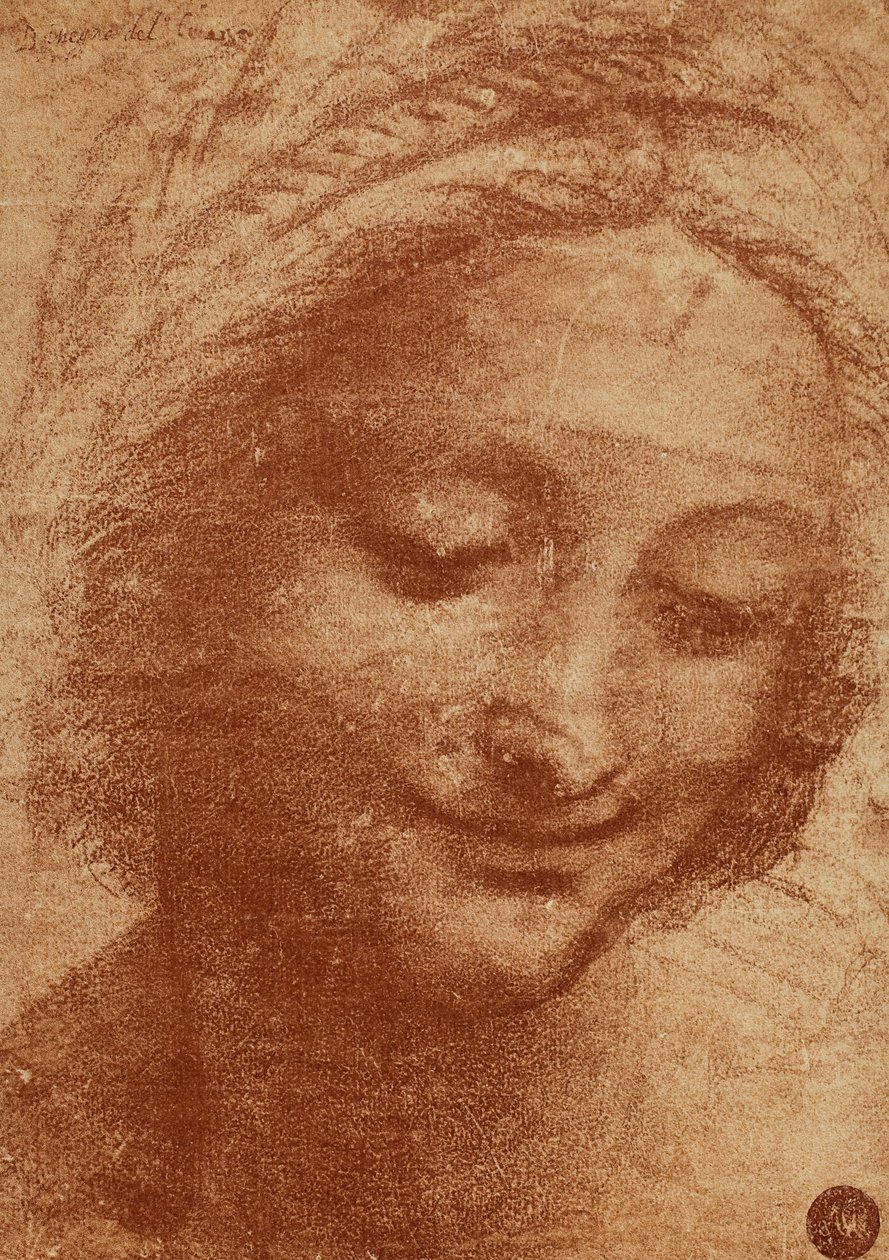 Głowa kobiety lub SantAnna, rysunek Leonarda da Vinci, studium dla głowy Sant Annas malującej Madonna z Dzieciątkiem i Sant Anna teraz w Luwrze. Projekt mieści się w Gallerie dellA autorstwa Leonardo da Vinci