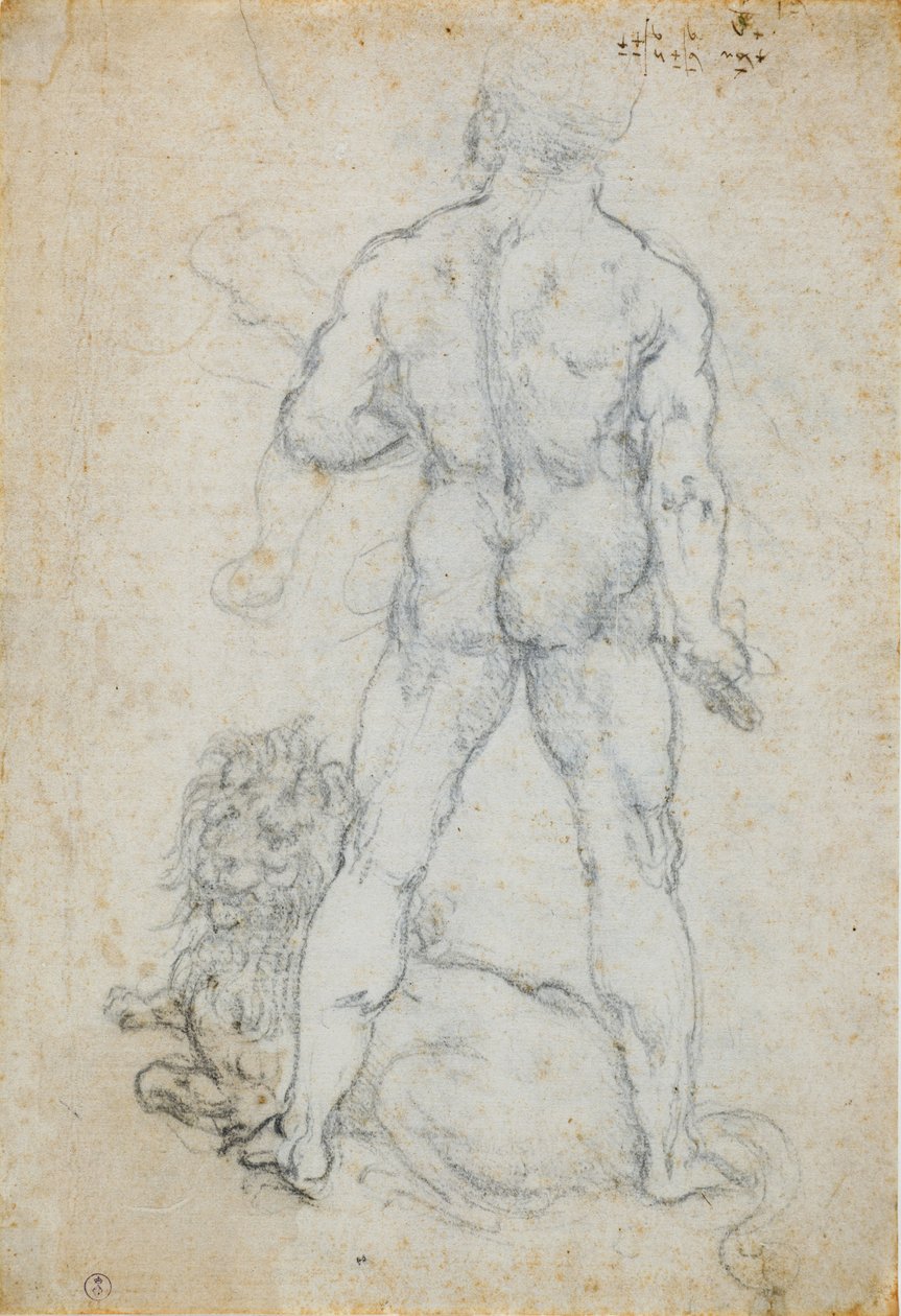 Herkules i lew nemejski, ok. 1930 r. 1506-08 (węgiel i metalowa końcówka na białym papierze) autorstwa Leonardo da Vinci