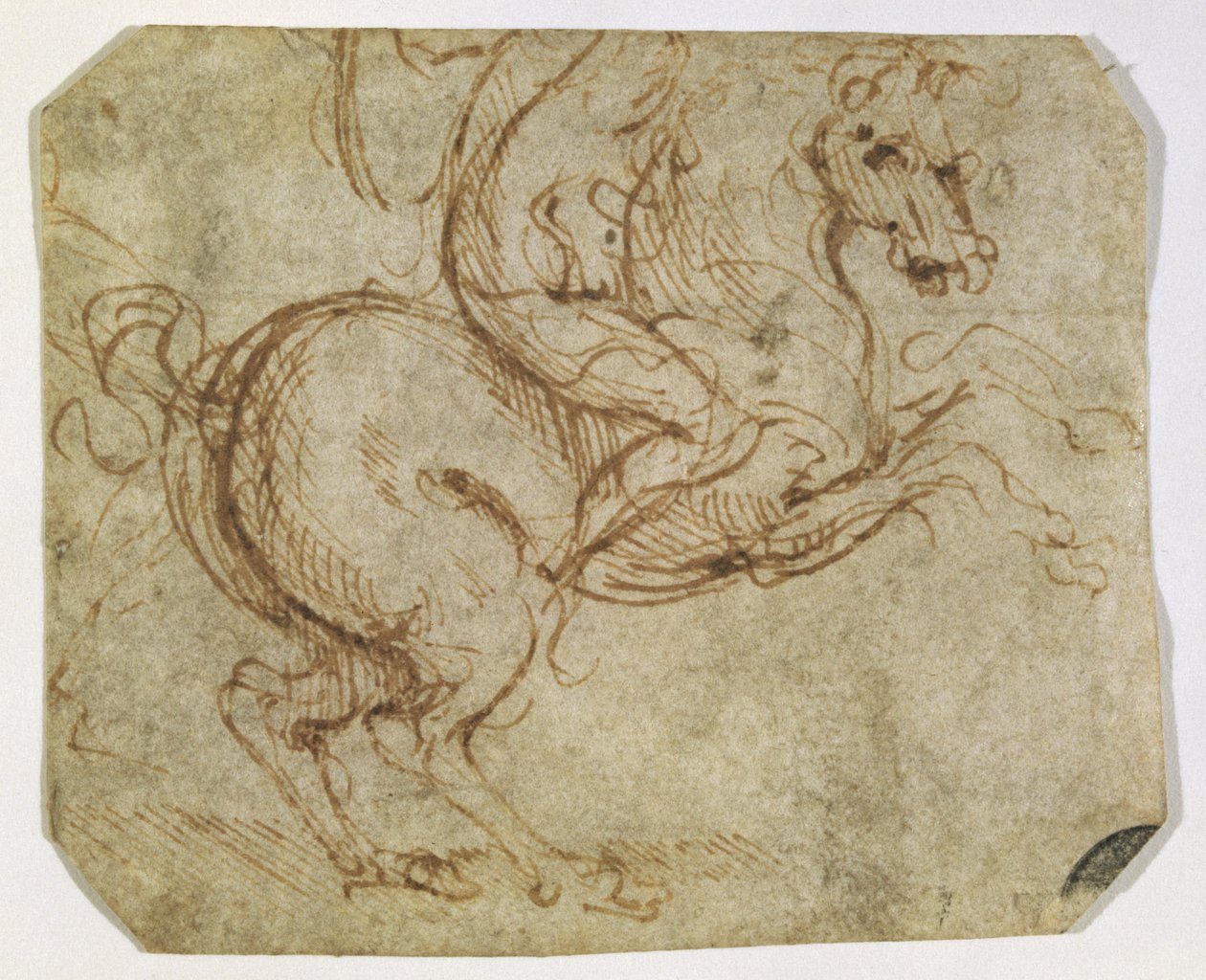 Koń i kawaler (pióro i tusz na papierze) autorstwa Leonardo da Vinci