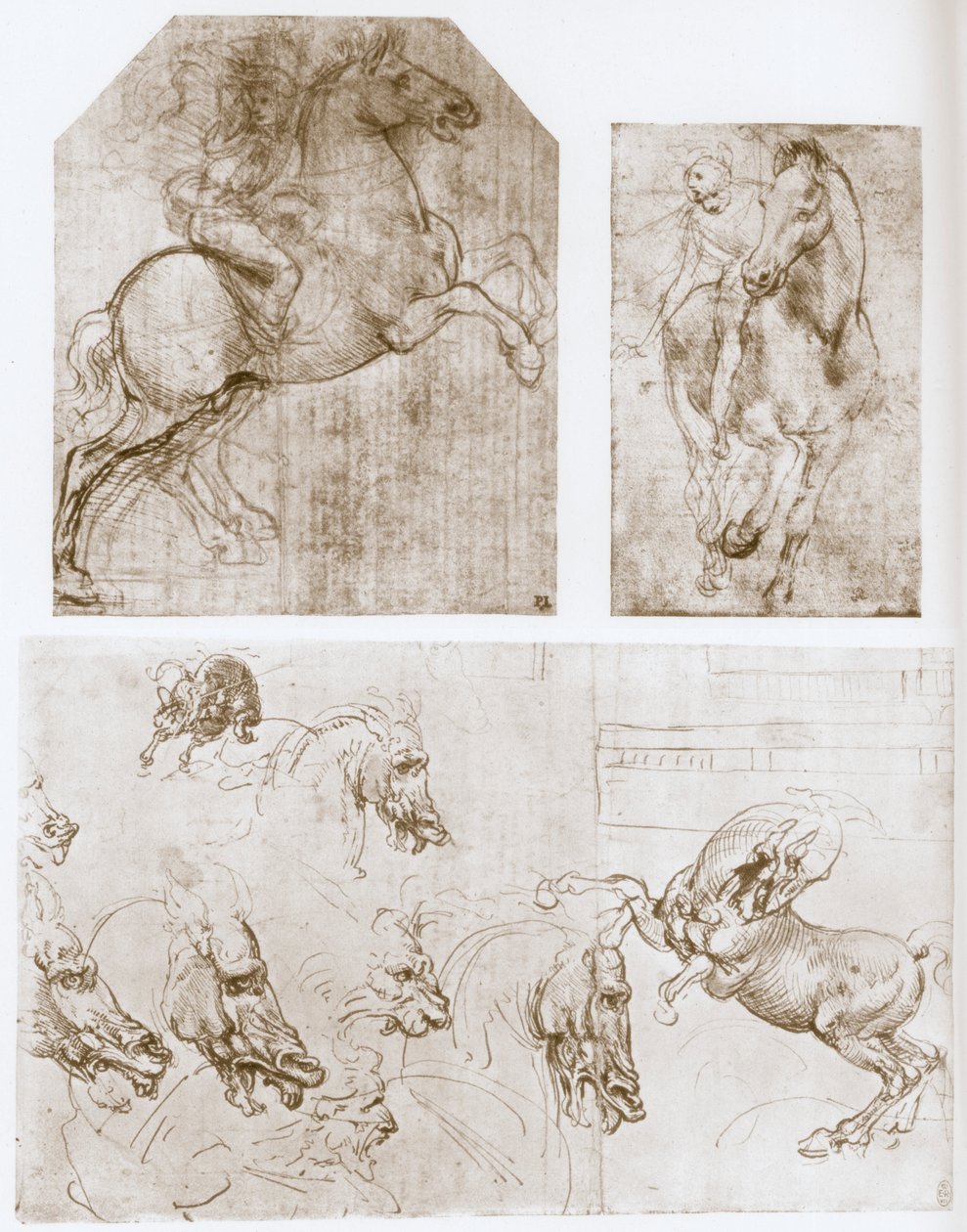 Jeździec, 1480-1481. autorstwa Leonardo da Vinci