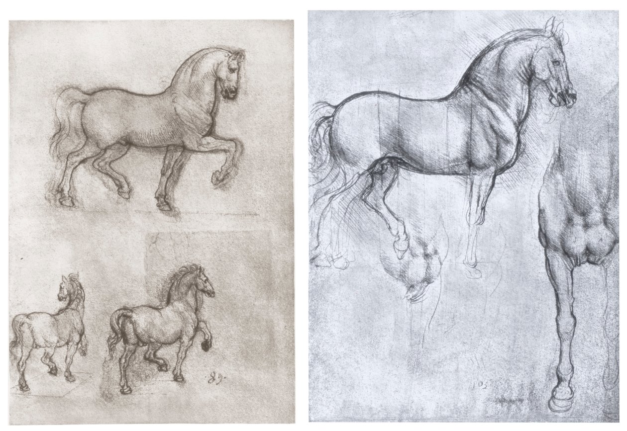 Konie, c1490-1510 autorstwa Leonardo da Vinci