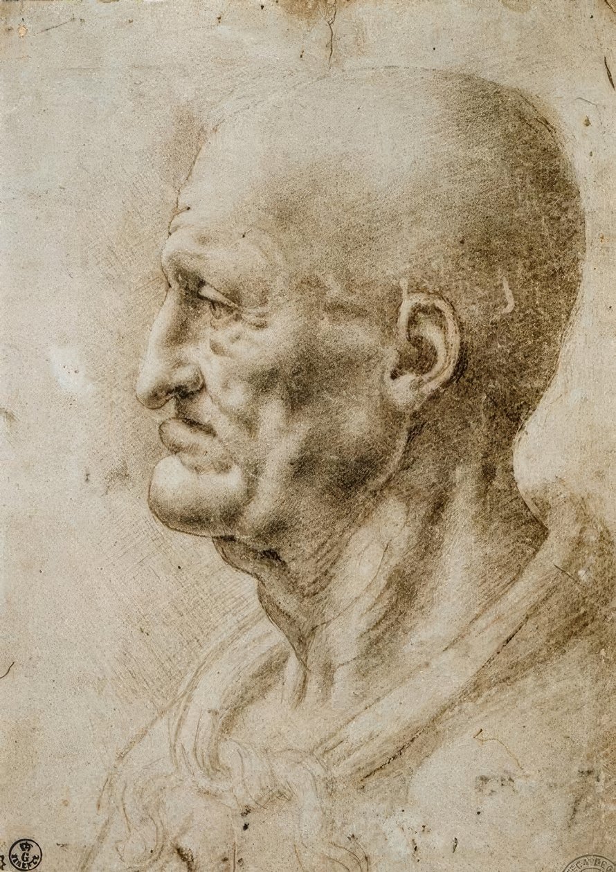 Studium głowy starego człowieka autorstwa Leonardo da Vinci