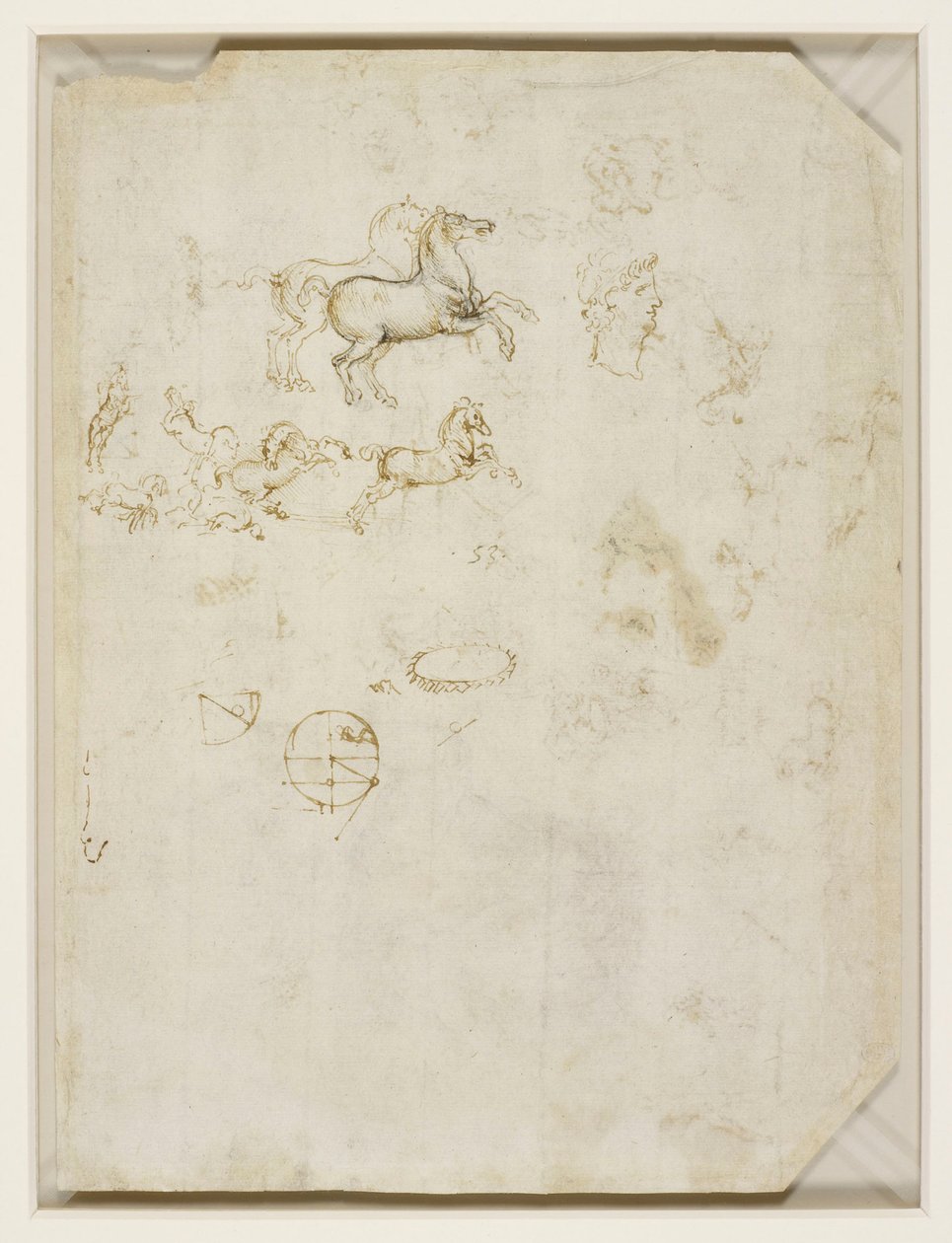 Leonardo da Vinci - Verso Pędzące konie i głowa Nerona ok. 1503-4 autorstwa Leonardo da Vinci
