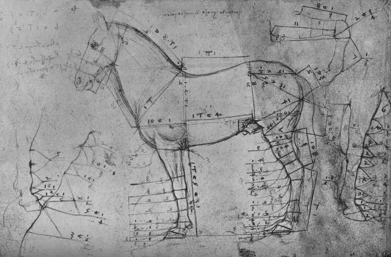 Mierzony rysunek konia w profilu w lewo, c1480 1945 autorstwa Leonardo da Vinci