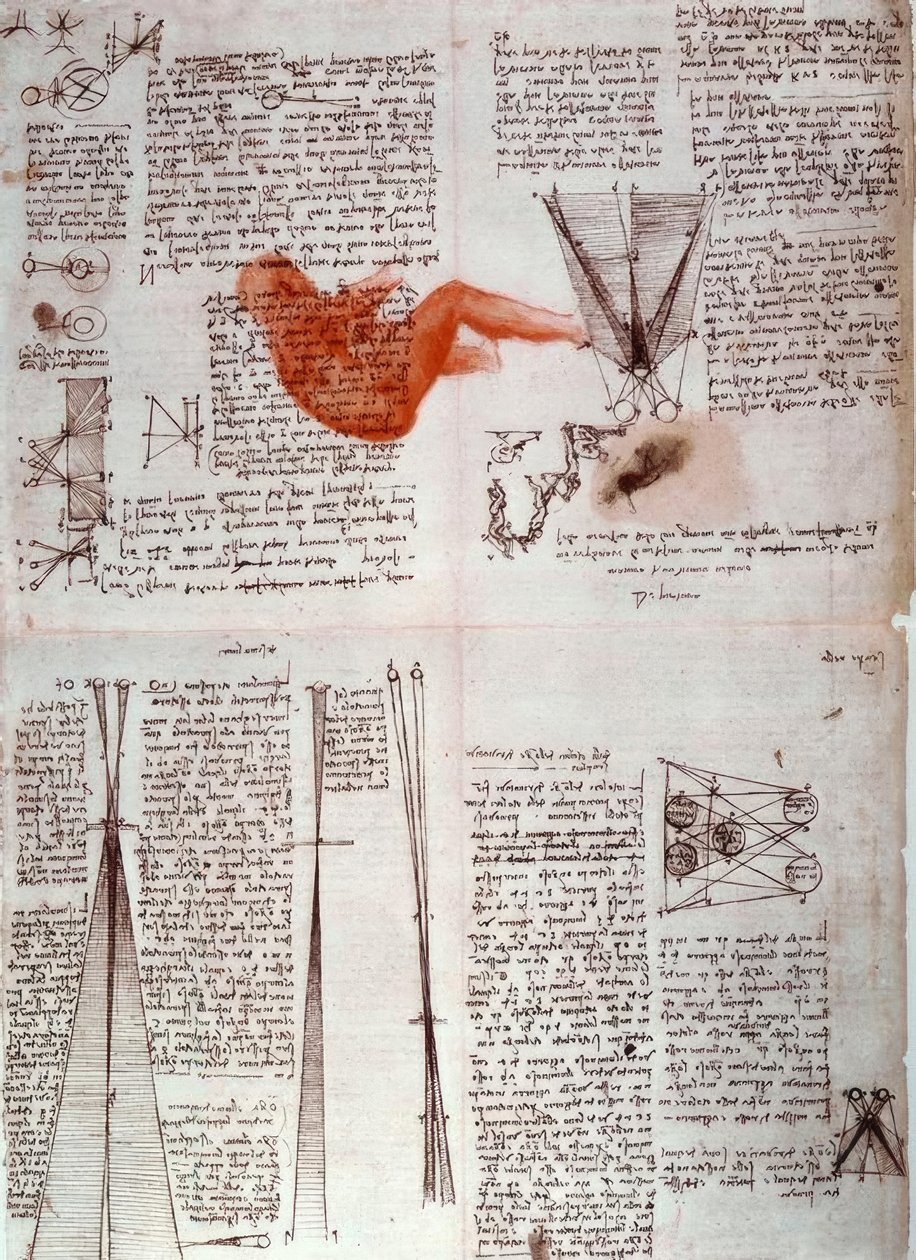 Uwagi na temat fizjologii widzenia... autorstwa Leonardo da Vinci