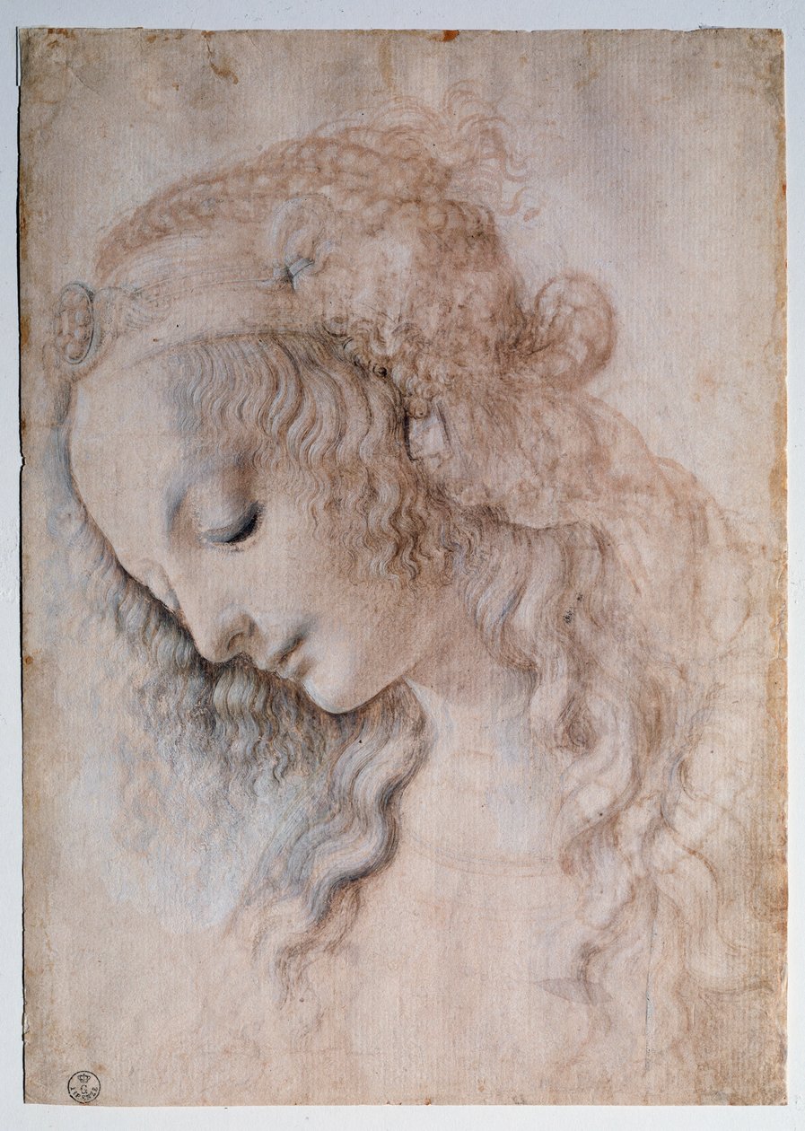 Portret dziewczyny - rysunek autorstwa Leonardo da Vinci