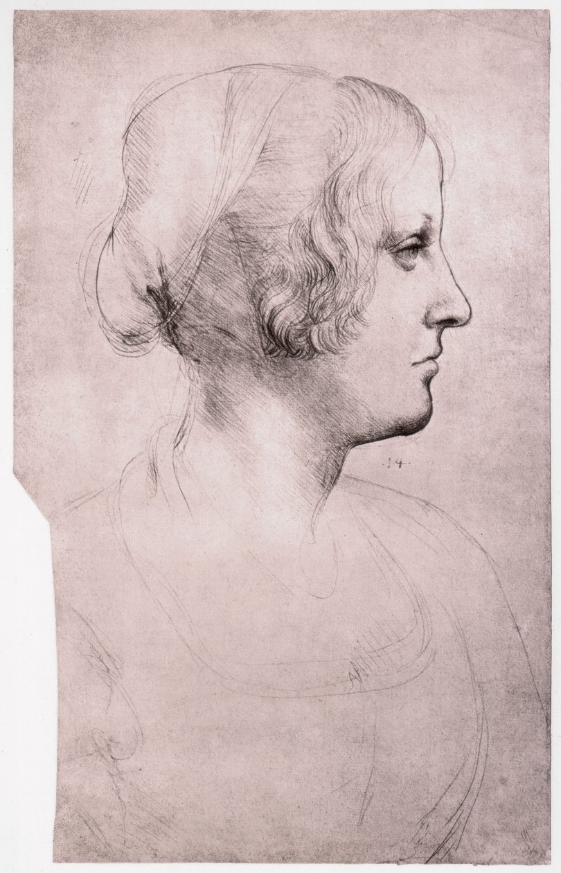 Portret dziewczyny w czapce, 1493-1495 autorstwa Leonardo da Vinci