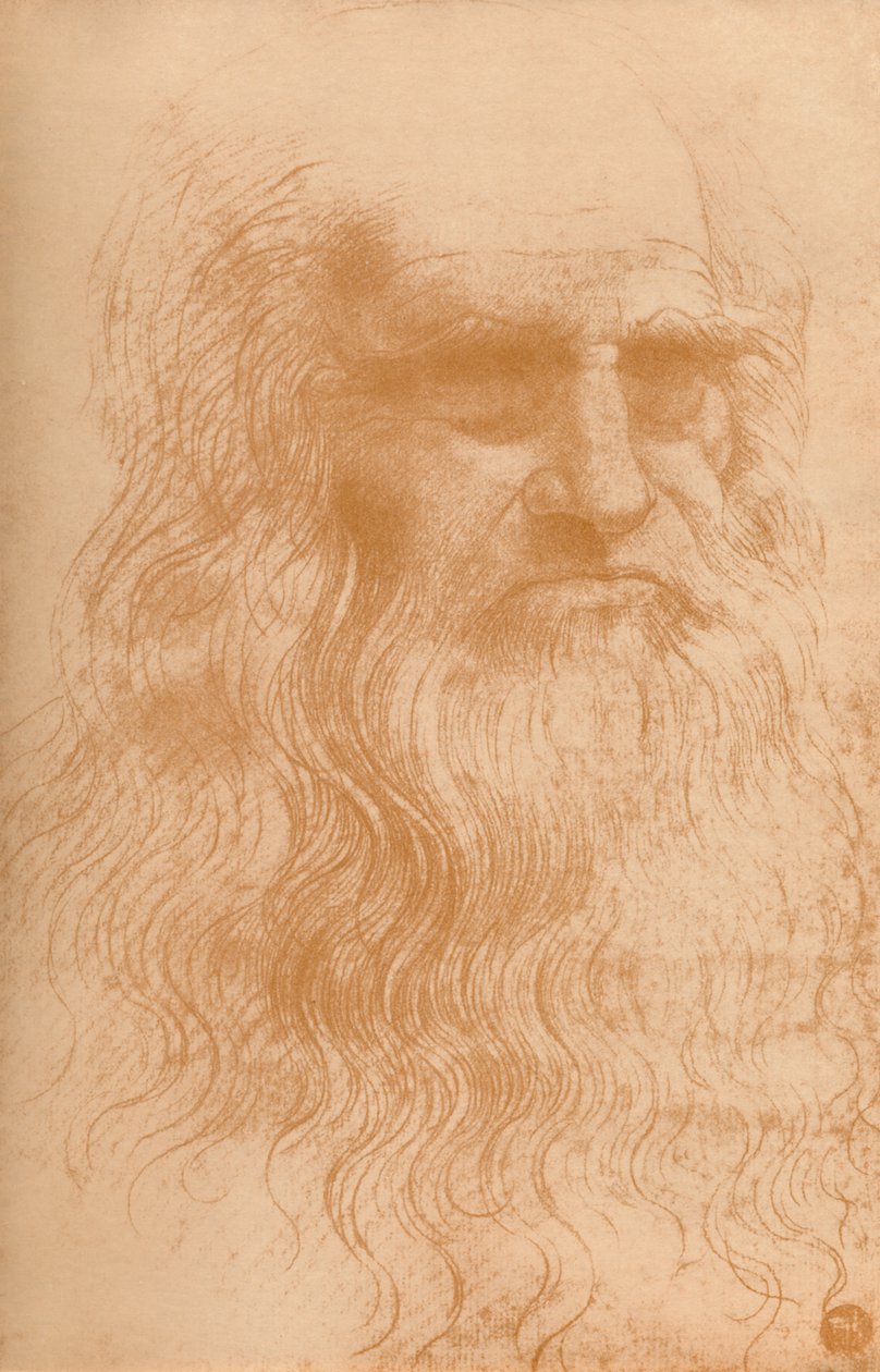 Portret mężczyzny w czerwonej kredzie, c1512, 1932 autorstwa Leonardo da Vinci