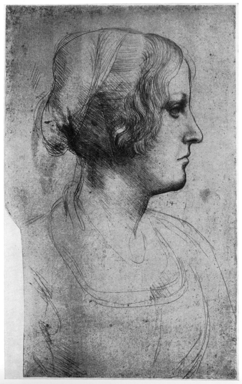 Studium portretowe głowy młodej dziewczyny, XV wiek 1954. autorstwa Leonardo da Vinci