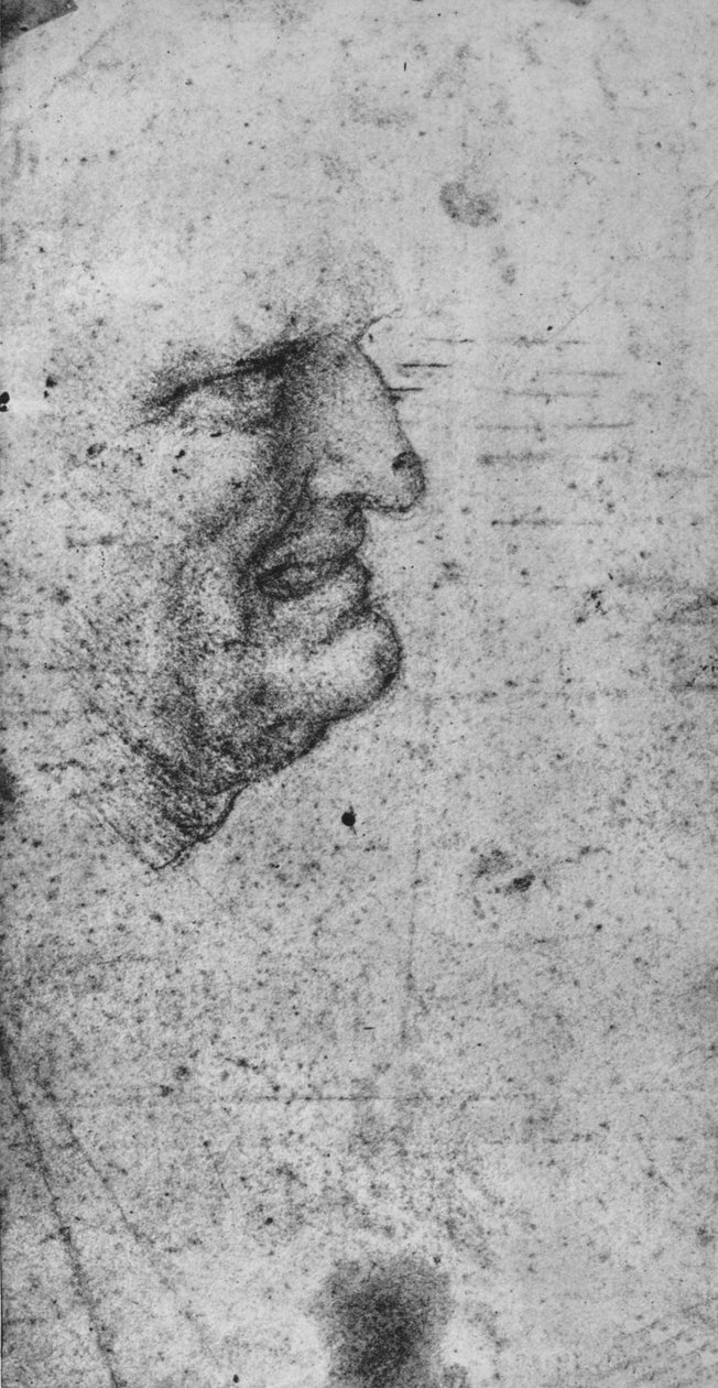 Profil mężczyzny z zaciśniętymi zębami, c1480 1945 autorstwa Leonardo da Vinci