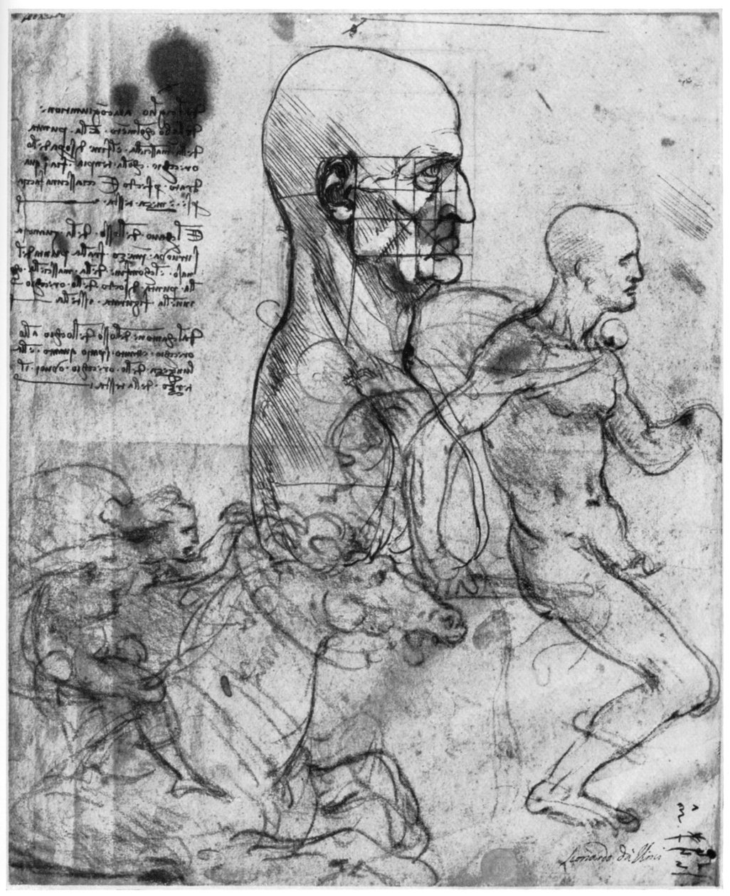 Profil głowy mężczyzny i studia dwóch jeźdźców c1490 i c1504 1954. autorstwa Leonardo da Vinci