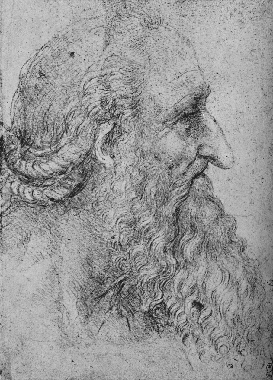 Profil starego brodatego mężczyzny po prawej stronie, ok. 1480 1945 r. autorstwa Leonardo da Vinci