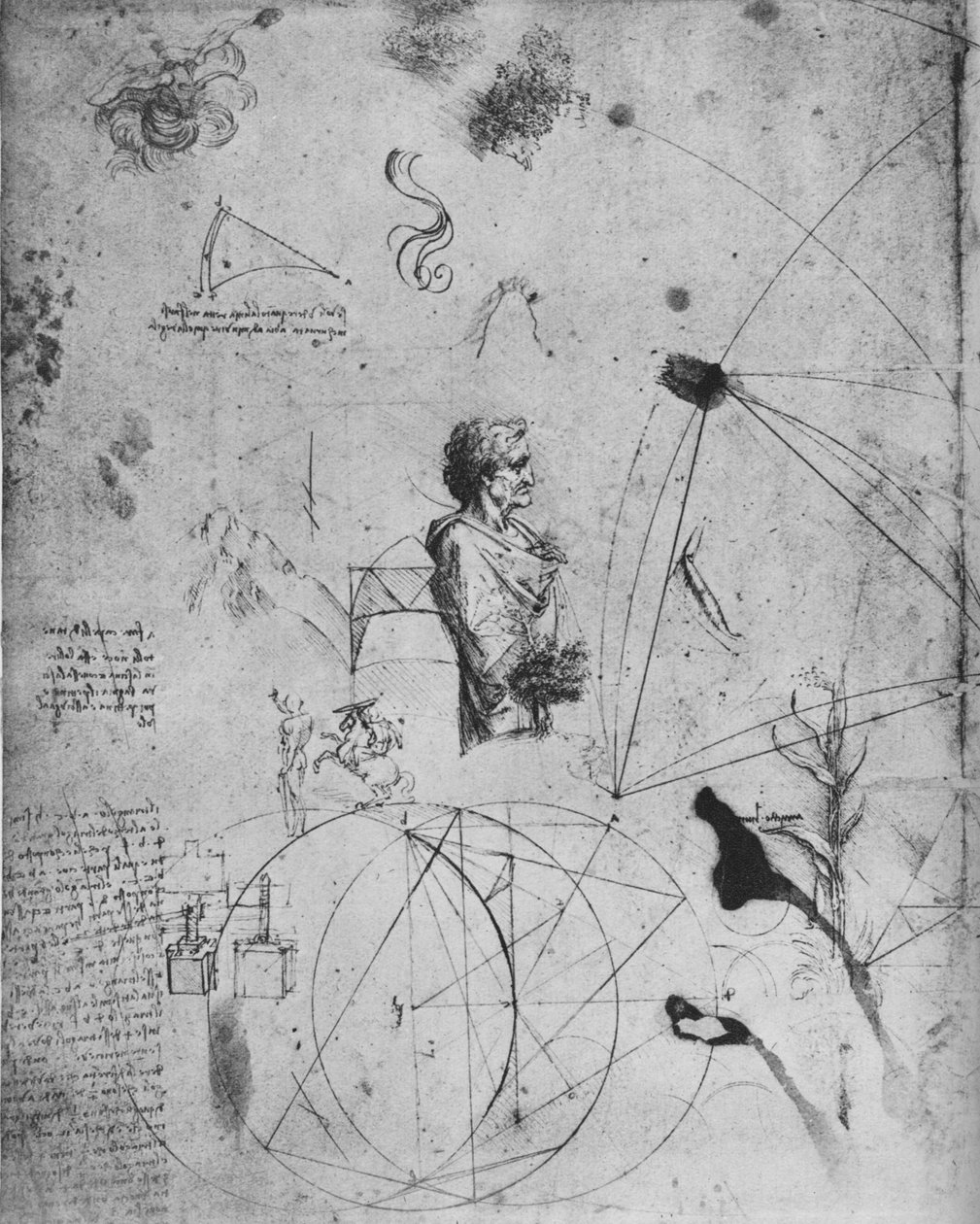 Profil starego człowieka, rośliny, figury geometryczne itp., c1480 1945 autorstwa Leonardo da Vinci