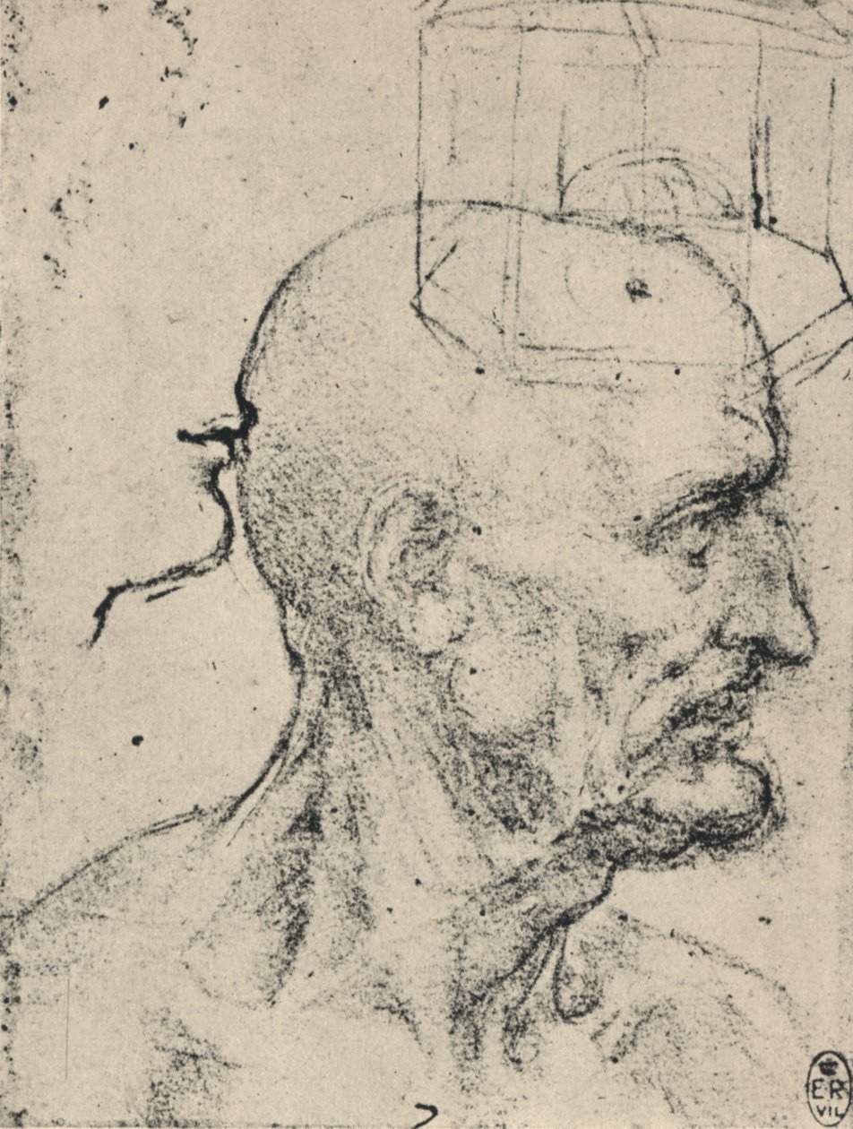 Profil po prawej stronie łysego mężczyzny, c1480 1945 autorstwa Leonardo da Vinci