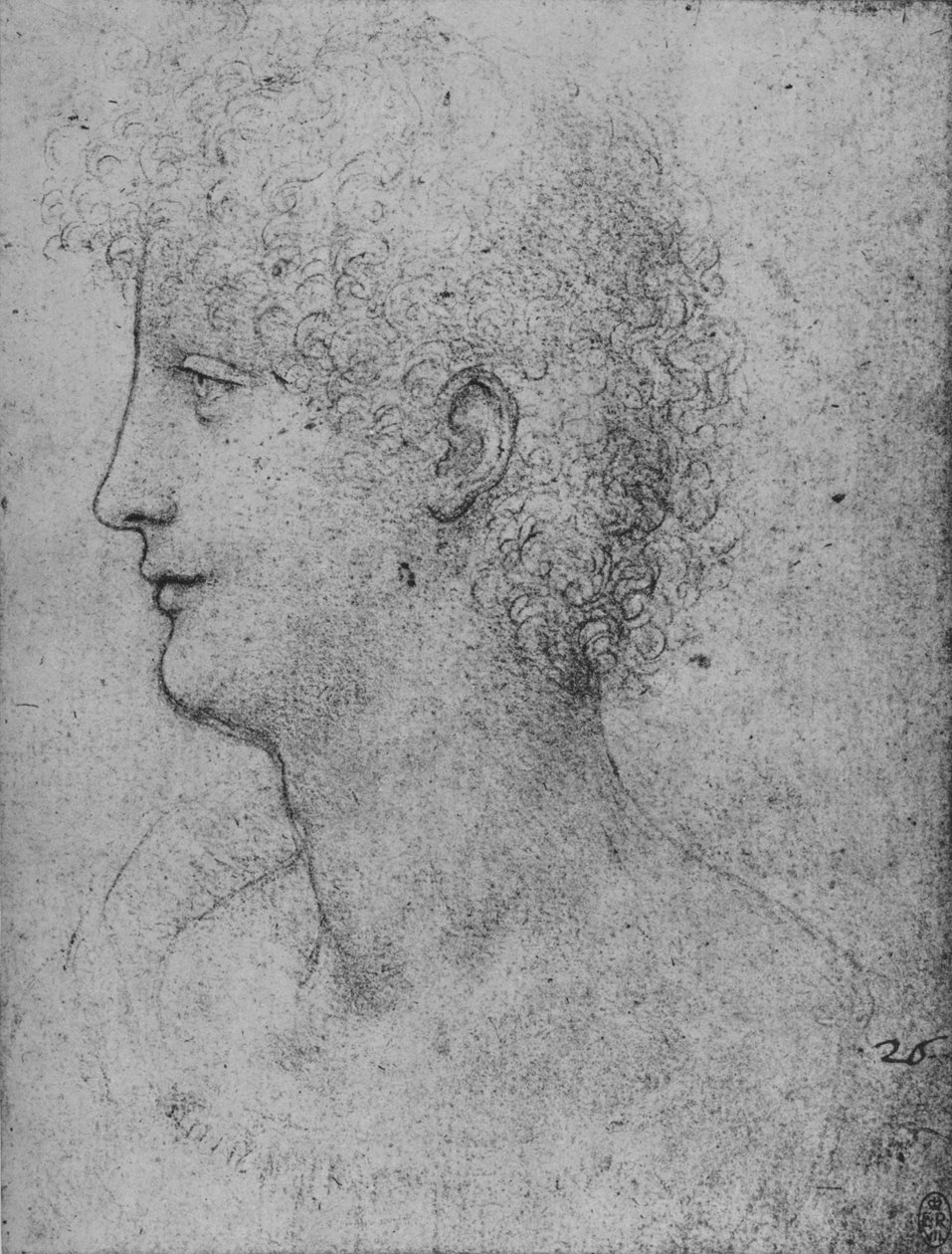 Profil po lewej stronie młodzieńca z kędzierzawą głową, c1480 1945 autorstwa Leonardo da Vinci