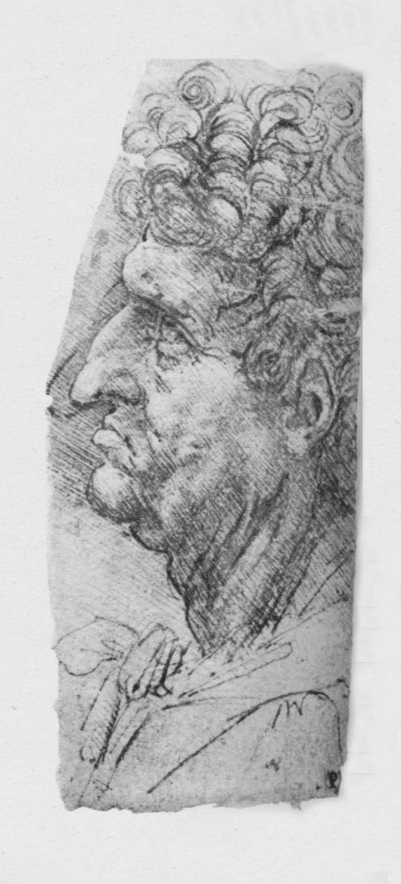 Profil po lewej stronie starszego mężczyzny z kręconymi włosami, c1480 1945 autorstwa Leonardo da Vinci